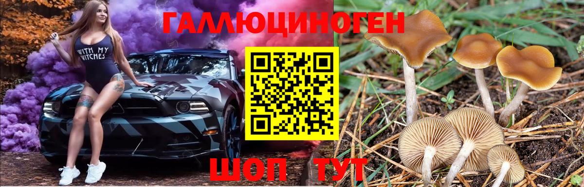 Псилоцибиновые грибы GOLDEN TEACHER  Вход с VPN  Североморск 